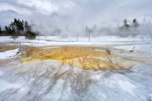 Yesterday marked Yellowstone's 150th 
anniversary as a National Park. 

Yellowstone National Park sits on top of 
a dormant volcano and is home to more 
geysers and hot springs than any other 
place on earth. Wonders abound at this 
truly unique national park, from sites 
like the Yellowstone Grand Canyon to 
wildlife like America's largest buffalo herd, grizzly bears, and wolves. 

Approximately 50 percent of the world's hydrothermal features are at Yellowstone National Park, creating an effect that makes the ground appear to be on fire. 

I am officially addicted to this magical place.

My Yellowstone photo story is featured in the newest issue of @lens_magazine that features @stevemccurryofficial @markedwardharrisphoto and more amazing photographers!

#yellowstone #hotspring #beautiful #nature #nikonnofilter #yourshotphotographer #earthcapture @bbcearth #yourshotphotographer