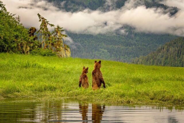 Telling the story with a sense of place.

I am looking forward to presenting online tonight for the Los Angeles Center of Photography moderated by my good friend @markedwardharrisphoto - it's free to join if you are interested:

https://lacphoto.org/events/an-evening-with-series-2022/

@oceanlightadventures @markedwardharrisphoto @nikoncanada @nikonusa