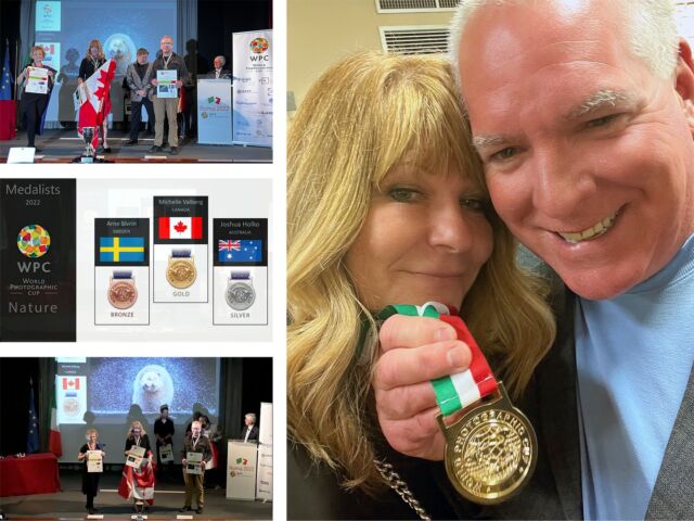 Not my typical post here... but I am super proud to announce I won the gold medal in nature at the World Photographic Cup in Rome last night!

Still in awe. Thank you to all of you for supporting and following me! So proud to represent Canada and be here with my wonderful #1 fan @hawley_bay and Canadian team. members @kristianbogner and @deborahlmacewen 

@worldphotographiccup @nikoncanada @nikonusa 

#worldphotographiccup #WPC2022 #rome #italy #goldmedal #happy #grateful